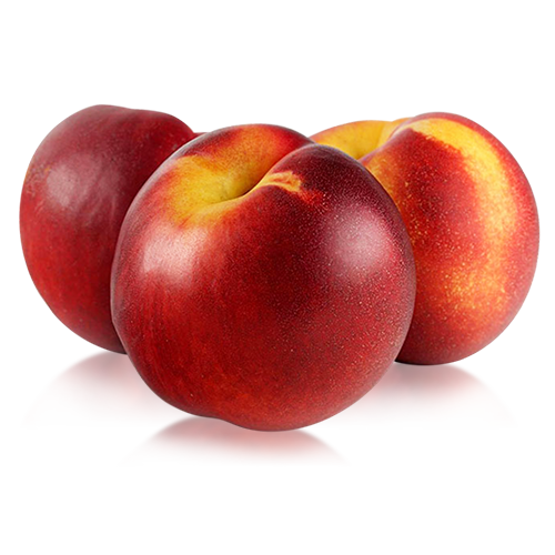 Nectarina