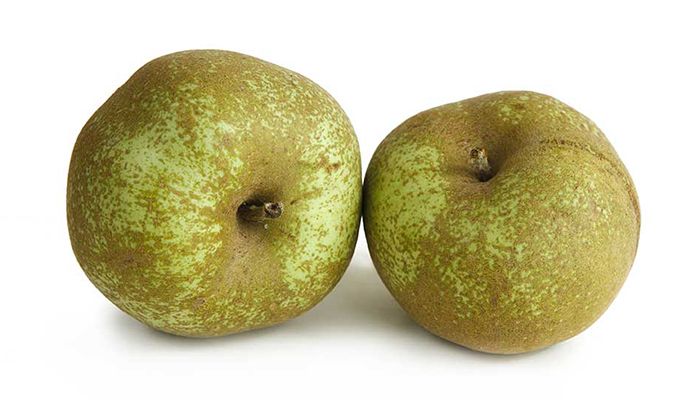 Maza Reineta blanca